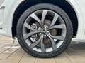 Land Rover Discovery Sport P200 R-Dynamic SE Automatik ACC Weiß - thumbnail 9