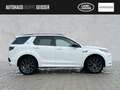 Land Rover Discovery Sport P200 R-Dynamic SE Automatik ACC Weiß - thumbnail 6