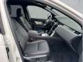 Land Rover Discovery Sport P200 R-Dynamic SE Automatik ACC Weiß - thumbnail 3
