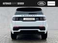 Land Rover Discovery Sport P200 R-Dynamic SE Automatik ACC Weiß - thumbnail 8