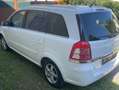 Opel Zafira Zafira 1,6 Edition 111 Weiß - thumbnail 6