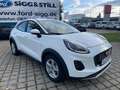 Ford Puma Titanium 1.0 **NEUES MODELL** NAVI*SHZ*LHZ Weiß - thumbnail 2