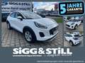 Ford Puma Titanium 1.0 **NEUES MODELL** NAVI*SHZ*LHZ Weiß - thumbnail 1