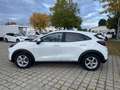 Ford Puma Titanium 1.0 **NEUES MODELL** NAVI*SHZ*LHZ Weiß - thumbnail 26