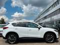 Mazda CX-5 Sports-Line AWD *AUTOMATIK*BOSE*NAVI* Blanc - thumbnail 5