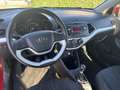Kia Picanto 1.0 CVVT ISG Comfort Pack | Airco | Rot - thumbnail 2