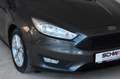 Ford Focus Lim. Business | 1.Hand | Sitzheiz. |16`Alu Grau - thumbnail 18