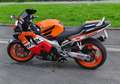 Honda CBR 600 Cbr 600 f4 - thumbnail 5