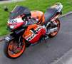 Honda CBR 600 Cbr 600 f4 - thumbnail 3