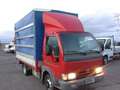 Nissan Cabstar 35.12 3.0 TDI CASSONE  CENTINATO 3,80 X 2,00 Rouge - thumbnail 15