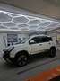 Fiat Panda Panda TwinAir 85 4x4 Cross Cross Weiß - thumbnail 6