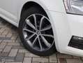 Skoda Octavia Combi 1.6 TDI Greentech Ambition Business Blanc - thumbnail 4