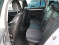 Skoda Octavia Combi 1.6 TDI Greentech Ambition Business Blanc - thumbnail 13
