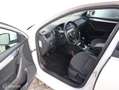 Skoda Octavia Combi 1.6 TDI Greentech Ambition Business Blanc - thumbnail 11