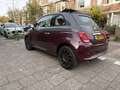 Fiat 500 1.2 Star Cabrio Navi Collezione Paars - thumbnail 5