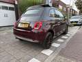 Fiat 500 1.2 Star Cabrio Navi Collezione Paars - thumbnail 3