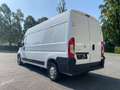 Citroen Jumper 35 L3H2 Control BlueHDi 140 Start*MwSt ausweisbar* Weiß - thumbnail 4