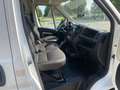 Citroen Jumper 35 L3H2 Control BlueHDi 140 Start*MwSt ausweisbar* Weiß - thumbnail 9