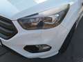 Ford Kuga 2,0 TDCi ST-Line Weiß - thumbnail 5
