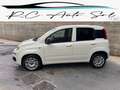 Fiat Panda van easy 2 posti 1.3 multijet nuovo arrivo Blanc - thumbnail 3