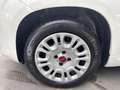 Fiat Panda van easy 2 posti 1.3 multijet nuovo arrivo Blanc - thumbnail 16
