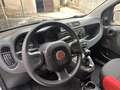 Fiat Panda van easy 2 posti 1.3 multijet nuovo arrivo Blanc - thumbnail 12