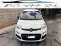 Fiat Panda van easy 2 posti 1.3 multijet nuovo arrivo Blanc - thumbnail 5