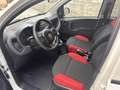 Fiat Panda van easy 2 posti 1.3 multijet nuovo arrivo Blanc - thumbnail 7