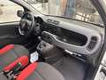 Fiat Panda van easy 2 posti 1.3 multijet nuovo arrivo Blanc - thumbnail 11