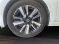 Nissan Micra ACENTA Blanco - thumbnail 18