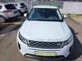 Land Rover Range Rover Evoque Range Rover Evoque 2,0 D150 Aut. Weiß - thumbnail 11
