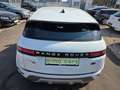 Land Rover Range Rover Evoque Range Rover Evoque 2,0 D150 Aut. Weiß - thumbnail 7