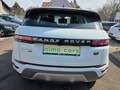 Land Rover Range Rover Evoque Range Rover Evoque 2,0 D150 Aut. Weiß - thumbnail 9