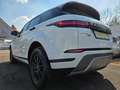Land Rover Range Rover Evoque Range Rover Evoque 2,0 D150 Aut. Weiß - thumbnail 6