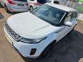 Land Rover Range Rover Evoque Range Rover Evoque 2,0 D150 Aut. Weiß - thumbnail 10