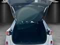 Ford Kuga 2.5 PHEV ST-Line X Aut./LED/ACC/KAMERA/PANO Blanc - thumbnail 7