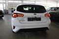 Ford Focus MHEV ST-LINE Weiß - thumbnail 4