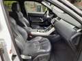 Land Rover Range Rover Evoque Range Rover Evoque SD4 Aut. Dynamic Weiß - thumbnail 10