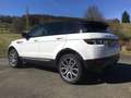Land Rover Range Rover Evoque Range Rover Evoque SD4 Aut. Dynamic Weiß - thumbnail 4
