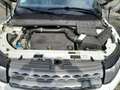 Land Rover Range Rover Evoque Range Rover Evoque SD4 Aut. Dynamic Weiß - thumbnail 12