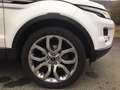 Land Rover Range Rover Evoque Range Rover Evoque SD4 Aut. Dynamic Weiß - thumbnail 8