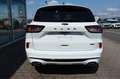 Ford Kuga ST-Line X 2.5 PHEV ACC LED B&O PANO AHK Bianco - thumbnail 10