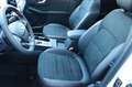 Ford Kuga ST-Line X 2.5 PHEV ACC LED B&O PANO AHK Bianco - thumbnail 17