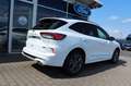 Ford Kuga ST-Line X 2.5 PHEV ACC LED B&O PANO AHK Bianco - thumbnail 9