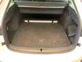 Skoda Octavia Combi Selection TDI DSG *AHK*PANO*ACC* Weiß - thumbnail 9