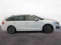 Skoda Octavia Combi Selection TDI DSG *AHK*PANO*ACC* Weiß - thumbnail 6