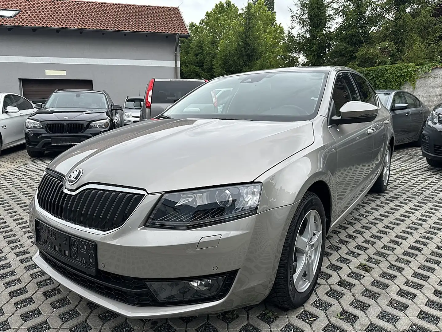 Skoda Octavia 1,6 Elegance TDI Green tec Marrón - 2