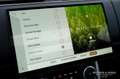 Land Rover Range Rover 3.0 P440e Belgravia Green, head-up display, panora Verde - thumbnail 29