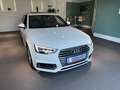 Audi A4 Avant S-Line 2.0TFSI Matrix LED Navi Panorama Weiß - thumbnail 12