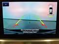 Ford Kuga Titanium 2.5 DuraTec FHEV 4WD Automatik Schwarz - thumbnail 12